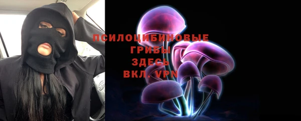тгк Алексин