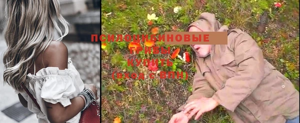 тгк Алексин